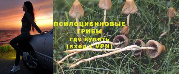 ГАЛЛЮЦИНОГЕННЫЕ ГРИБЫ Арсеньев